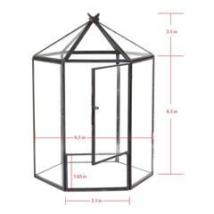 ELEGANTLIFE terrarium with top open showing easy access for planting and maintenance