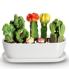 E-liu front view of oval planter showing sleek white design and modern style