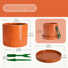 ÈMJÉ LUXE dibber widger and accessories arranged for easy planting use