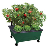 Emsco Group City Picker front view showing hunter green grow box and casters, portable planting benefit
