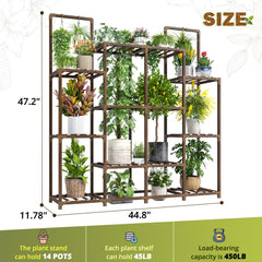 EnHomee top shelf with larger pot demonstrating sun exposure benefit