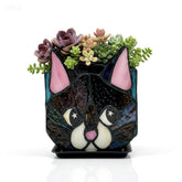 Entlityful front view of star-eyed black cat planter showing charming silhouette and display appeal
