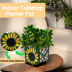 Entlityful top view with succulent planted illustrating drainage and neat fit