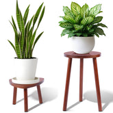 Eocogup walnut plant stand front view highlighting compact footprint and warm finish