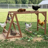 EOWOAN front view of assembled roosting bar showing compact coop fit and organization