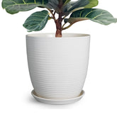 EPFamily front view of white 12 inch ceramic planter showing clean silhouette and benefit of elegant decor