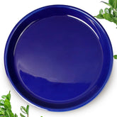 EPFamily blue saucer front view showing clean shape and surface protection