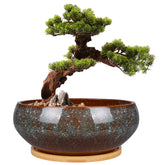 EPFamily front view brown planter showing sleek silhouette and tabletop appeal