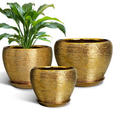 EPFamily gold planters front view showing three sizes and decorative appeal