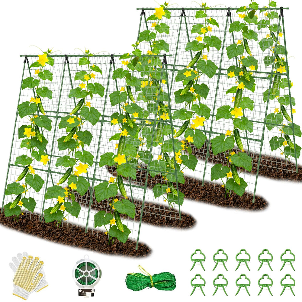 Erinaik front view of A-frame trellis showing full height and structure benefit