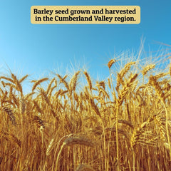 Ernst Grain & Livestock barley in bowls for poultry illustrating versatile feeding options