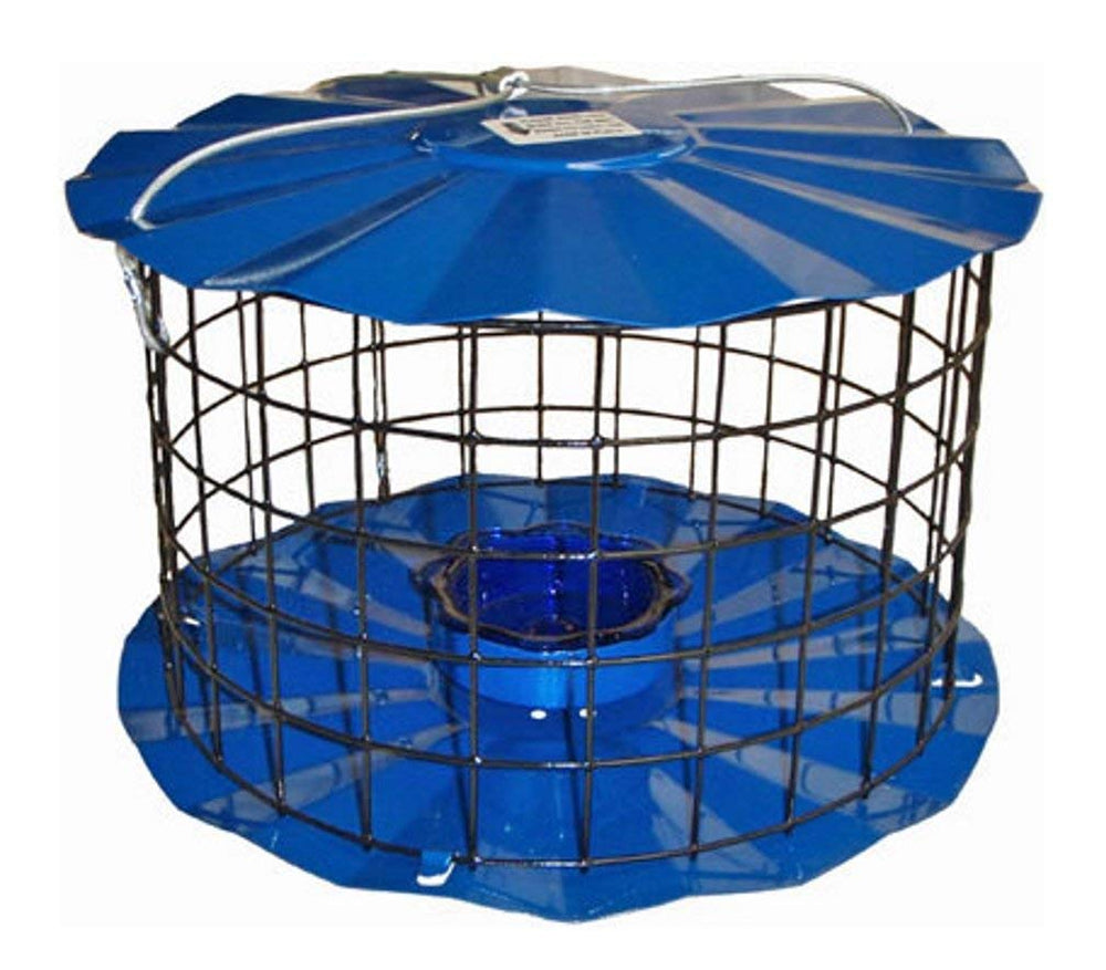 Erva front view of bluebird feeder showing accessible mealworm cup and guard benefit