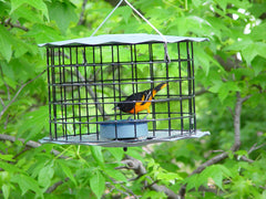 Erva vinyl-coated mesh detail showing barrier guard that excludes larger pests