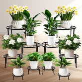 ESRICH front view of assembled stands showing neat plant display and stability