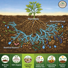 Essential Soils in container gardening demonstrates healthier foliage and root support