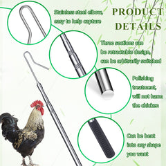 Fabbay extended pole in use reaching into pen for safer, low‑stress bird handling