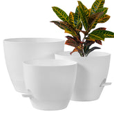 FaithLand front view of three white planter pots for coordinated styling and easy care
