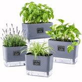 FAMZ front view of four matching planters showing neat modern design and coordination