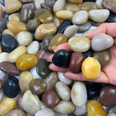 FANTIAN front of bag showing 10 lbs weight and mixed pebble colors for easy selection