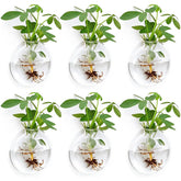 Fashionstorm front view of six glass wall planters showing clean lines and display benefit