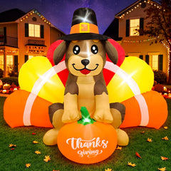 Fayavoo front view turkey dog showing festive design and visitor appeal