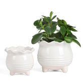 Fayoula white planter set front view showing clean modern design and versatile look