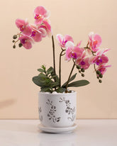 Fayoula front view showing elegant orchid motif and clean display benefit