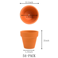 Fcacti close-up of clay texture and drainage hole highlighting breathability and root health benefits