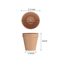 Fcacti close-up of clay texture and drainage hole highlighting breathable material