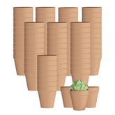 Fcacti front packaging of 80 mini terracotta pots shows bulk value and consistency