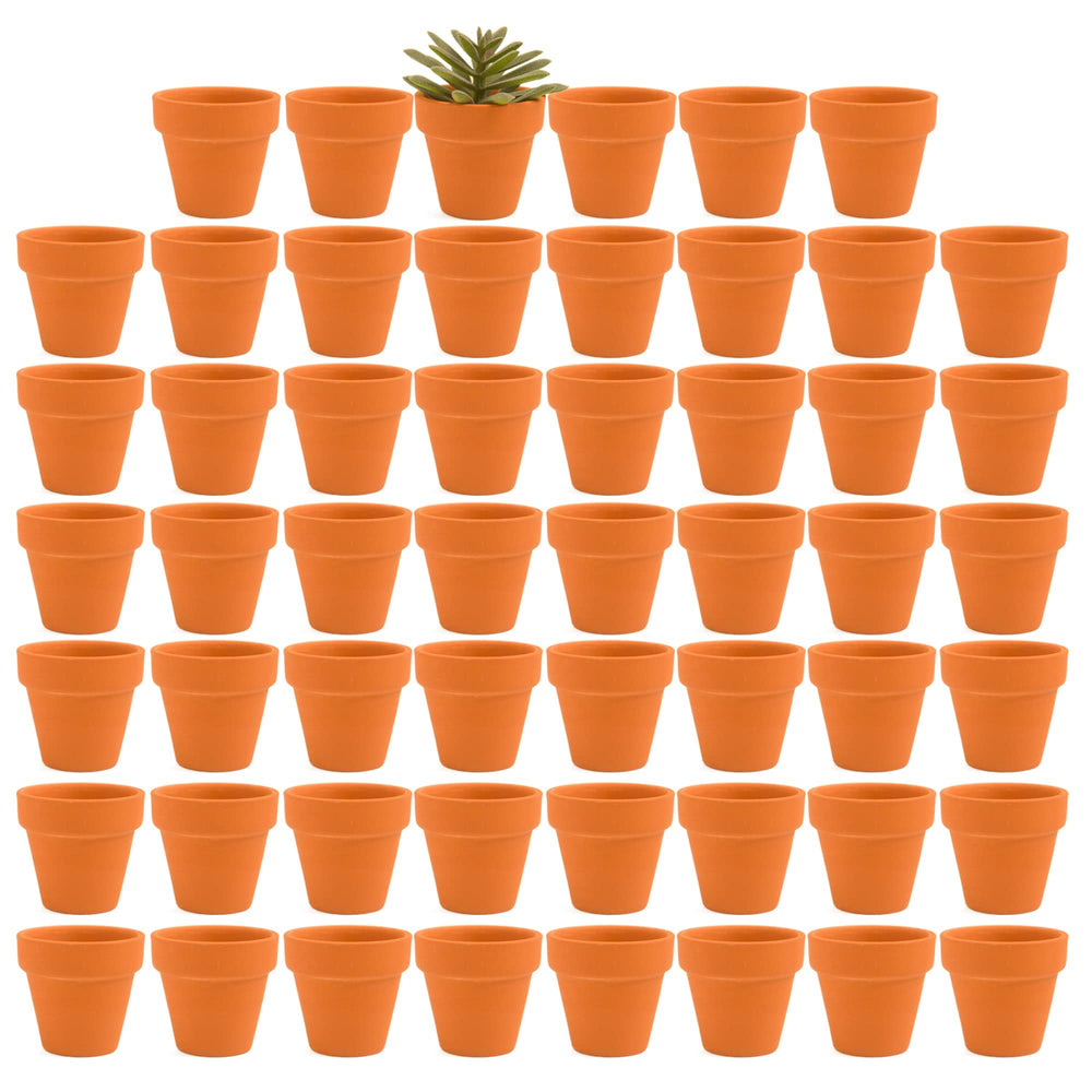 Fcacti front view of 54 mini terracotta pots showing quantity and neutral finish for uniform displays