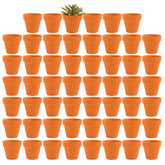 Fcacti front view of 54 mini terracotta pots showing quantity and neutral finish for uniform displays