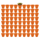 Fcacti front view of 72 terracotta pots showing value and bulk
