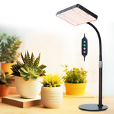 FECiDA front view on table showing compact lamp and stable base for indoor plants