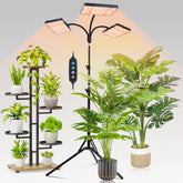 FECiDA front view on stand showing full coverage and brighter light
