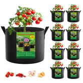 FEED GARDEN front view showing full 8-pack and true 10-gallon capacity