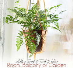 feedee hanger holding ceramic pot in use demonstrating space-saving vertical display