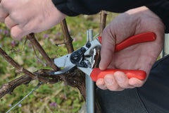 Felco F7 rotating handle close-up demonstrating ergonomic swivel for less fatigue