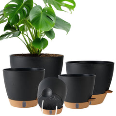 Fielda front view of planter showing sleek design and easy care benefits