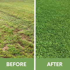 Flawn micro clover seed coated grains close-up showing easy handling benefit