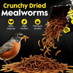 Flockin' mealworms scattered on ground with robins feeding nearby