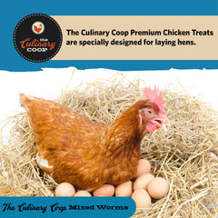 Fluker's mix in a feeder with chickens eating, encouraging natural foraging