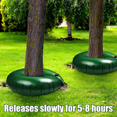 Foaincore watering ring filled and placed around tree trunk for deep root hydration