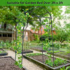 FOLLOOK arch with plant clips attached demonstrating easy training benefit