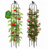 FOLLOOK trellis front view showing tall obelisk and neat support benefit