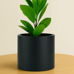 Fox & Fern front view of matte black planter shows clean lines and modern style