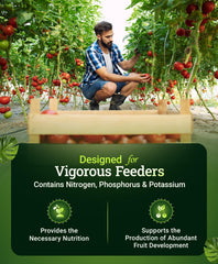 FoxFarm fertilizer granules close-up with texture and nutrient info