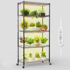 FREELICHT front view fully stocked showing organization and healthy plants
