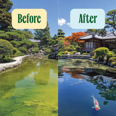 Fresh Pond tablets sinking through water to reach muck and improve clarity