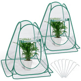 Fuairmee front view of two pop up greenhouses showing quick protection